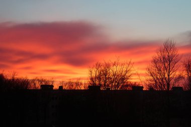 Bir çok katlı bina ve Kuru ağaçlar üzerinde renkli günbatımı.