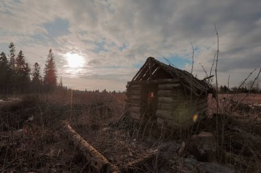 Eski terk edilmiş orman kulübe