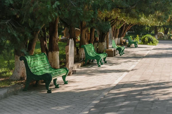 Yaz aylarında parktaki banklar