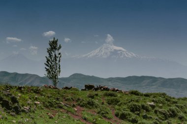 Ermenistan 'ın doğası. Ararat dağı 'nın görünümü