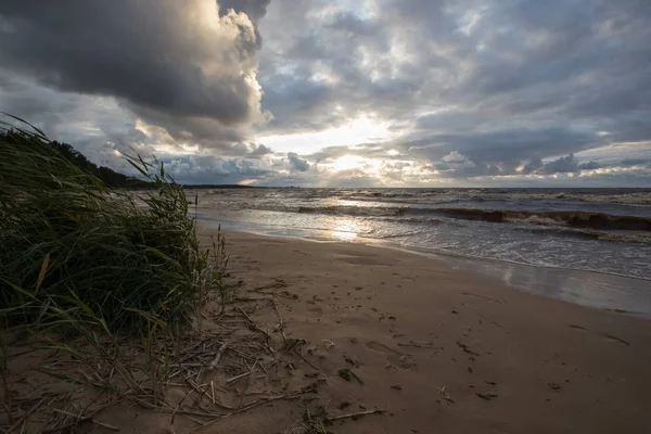 Playa salvaje. Mar Báltico. Golfo de Finlandia, Rusia —  Fotos de Stock