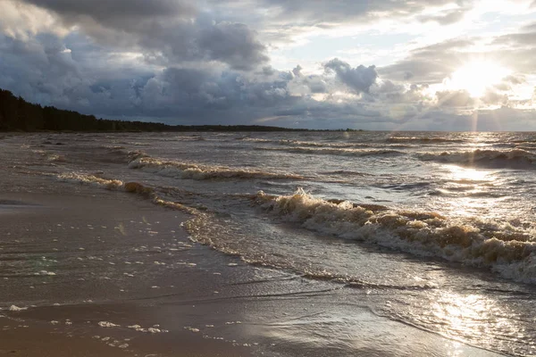 Дикому пляжі. Балтійське море. Фінської затоки, Росія — стокове фото