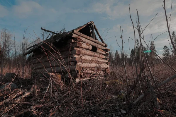 Old abandoned forest hut — Stock Photo, Image
