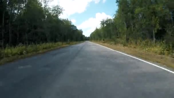 Conducir por carreteras de asfalto en verano — Vídeo de stock