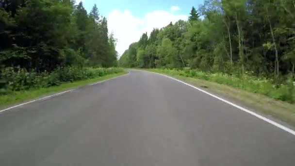 Conducir por carreteras de asfalto en verano — Vídeos de Stock