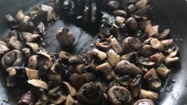 Kızarmış mantarlar kızartma tavasında