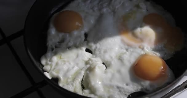 Жареные яйца в сковороде — стоковое видео