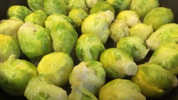 Brussels tumbuh di wajan goreng — Stok Video