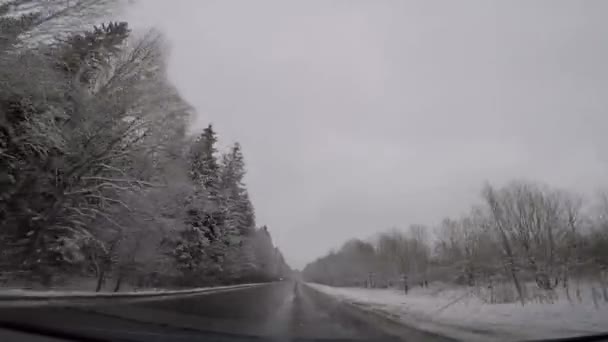 Водіння автомобіля в погану зимову погоду — стокове відео