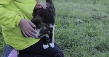 Kedi okşamalarla kızla