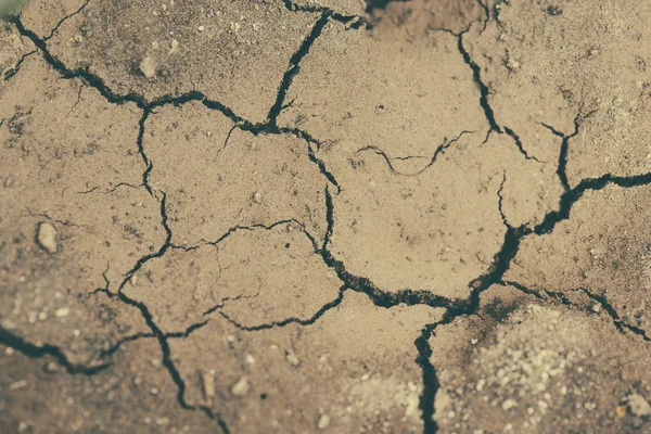 干ばつからひびの入った土地をクローズ アップ — ストック写真