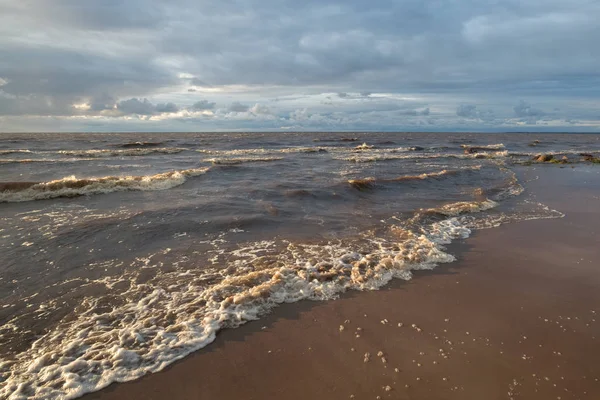 Playa salvaje. Mar Báltico. Golfo de Finlandia, Rusia —  Fotos de Stock