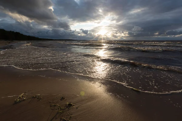 Playa salvaje. Mar Báltico. Golfo de Finlandia, Rusia —  Fotos de Stock