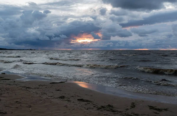 Playa salvaje. Mar Báltico. Golfo de Finlandia, Rusia —  Fotos de Stock