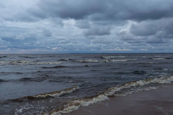 Playa salvaje. Mar Báltico. Golfo de Finlandia, Rusia —  Fotos de Stock