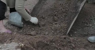 Çakıl kürekle bir elekten elemek inşaat işçisi.