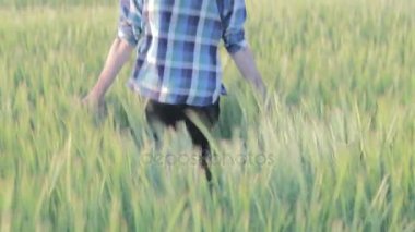 adam arpa alan yavaş çalışır