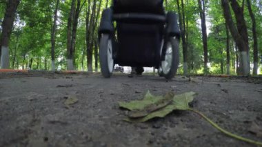 Baba ile bebek arabası Park yürüme