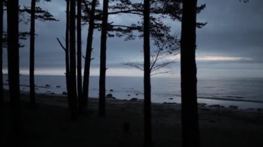 Akşam sahilde bir bebekle anne