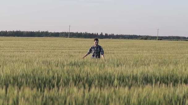 Guy runs in barley field In slow motion — Stock Video