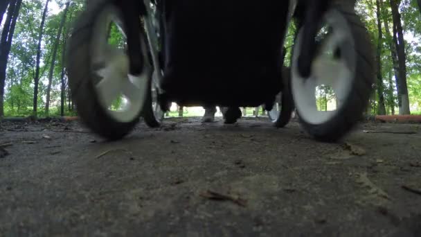 Padre caminando con un cochecito de bebé en el parque — Vídeo de stock