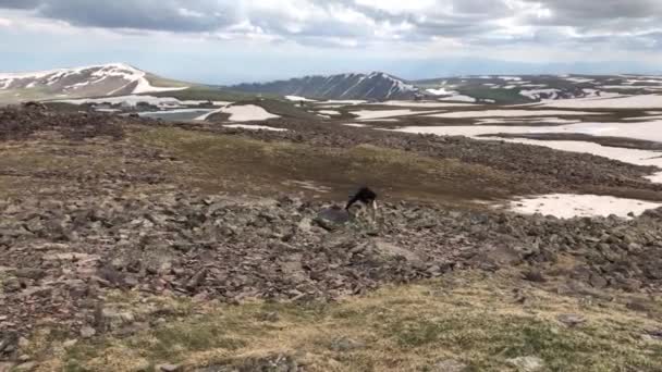 Viajante nas montanhas da Armênia — Vídeo de Stock