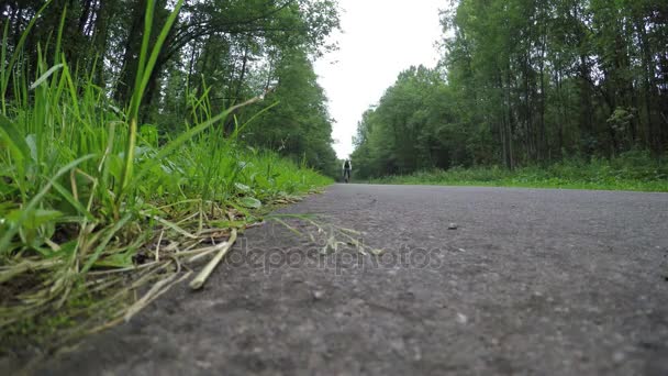 Велосипедист едет поблизости в лесу — стоковое видео