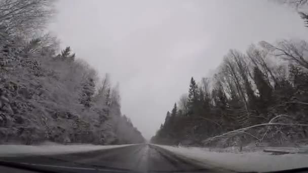 Вождение автомобиля в плохую зимнюю погоду — стоковое видео