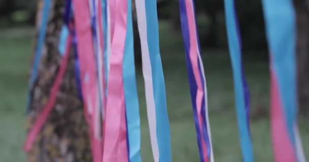 Multicolored ribbons in the wind slow motion — Stock Video