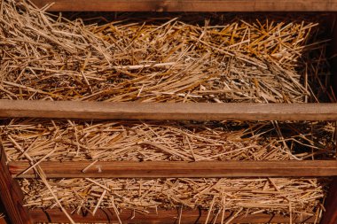 Saman arabaları yakın çekim