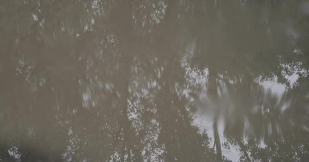 Raindrops in a puddle close-up — Stock Video