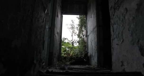 Μέσα στην παλιά, εγκαταλελειμμένα ερειπωμένο κτίριο — Αρχείο Βίντεο