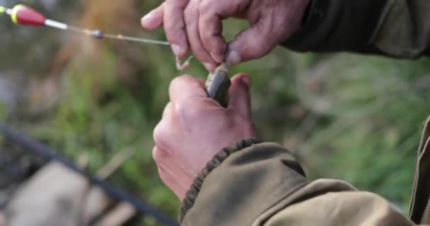 Fisherman takes fish off the hook close-up — Stock Video