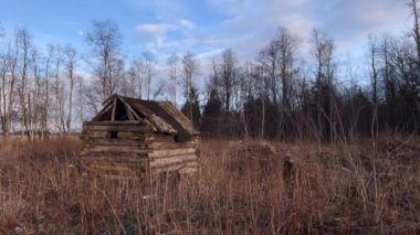 Orman timelapse içinde küçük eski ahşap kulübe