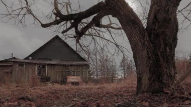 Büyük ağaç timelapse yakınındaki eski korkunç ev