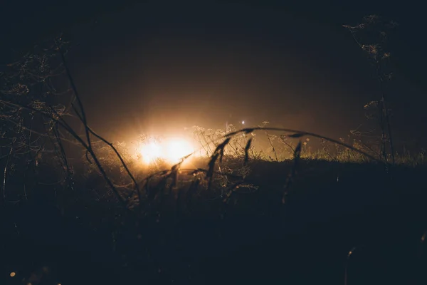 Luz no campo à noite — Fotografia de Stock