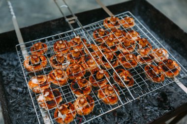 Izgara mantar portre