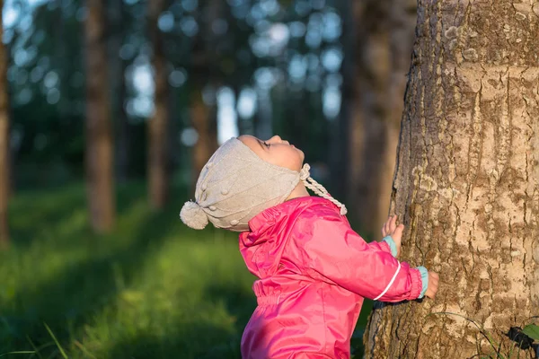 Little child looks up at tree. — Stock Photo, Image