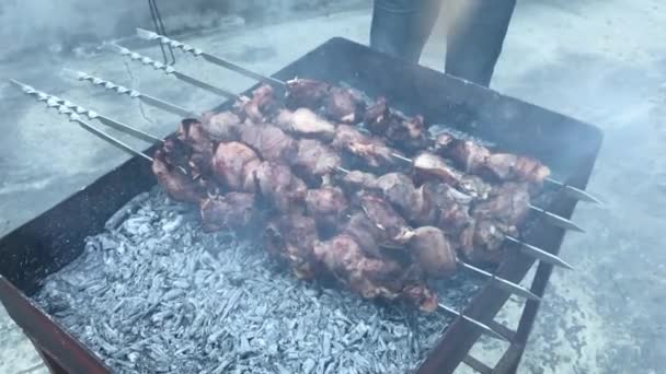 Shish kebab op houtskool — Stockvideo