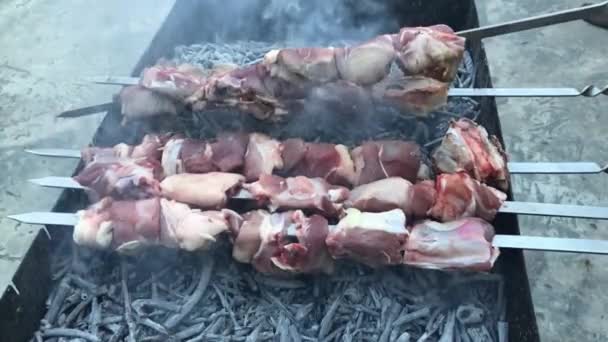 Shish kebab på kol — Stockvideo