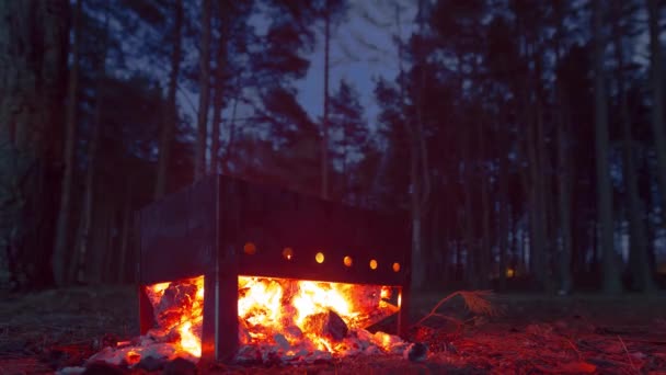 Cuisiner un barbecue sur le gril la nuit dans les bois . — Video