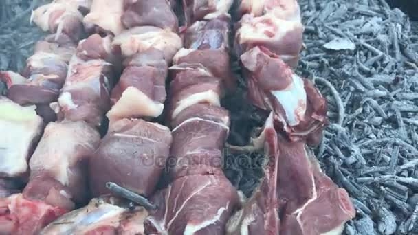 Shish kebab sobre carbón vegetal — Vídeos de Stock