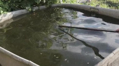 Ağır çekimde su tahta bir sopa ile darbe.