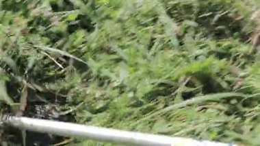 Tırpan bıçağı düzeltici ağır çekimde çim mows.