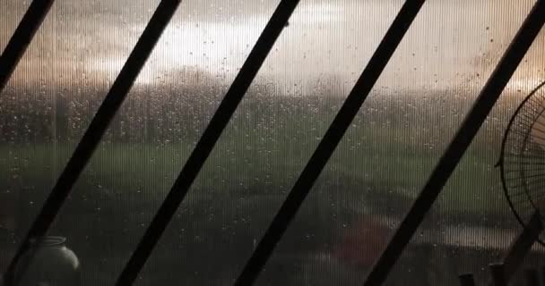 Lluvia fuera de la ventana — Vídeos de Stock