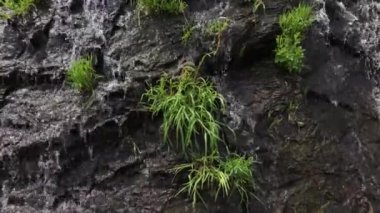 Şelale Jermuk, Ermenistan yakın çekim