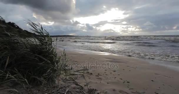 На морському пляжі в штормовій погоді . — стокове відео