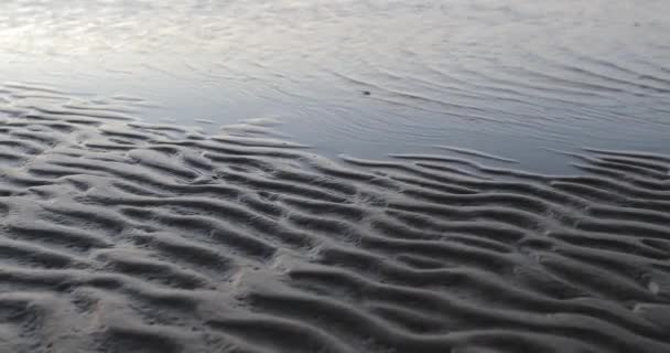 Sand vågor vid havet — Stockvideo