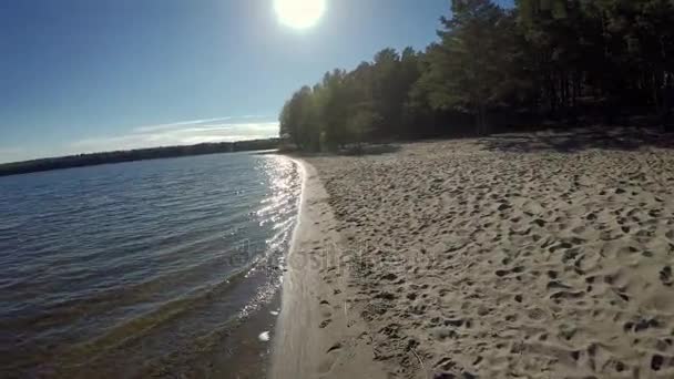 Wandel langs de oever van het meer. — Stockvideo