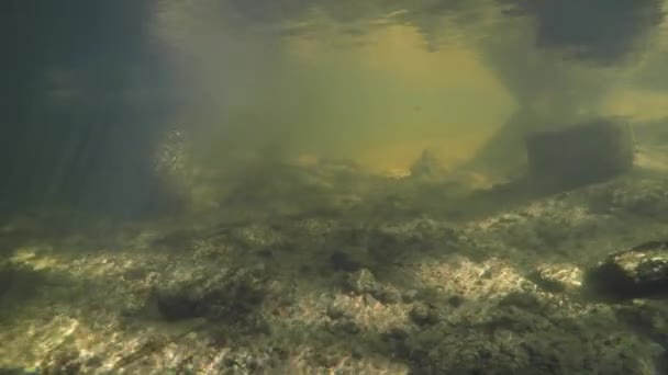 Pod vodou v řece. — Stock video